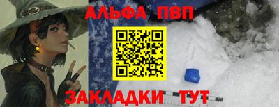 стаф Кингисепп