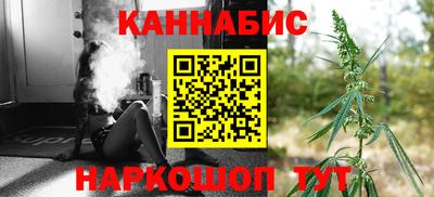 стаф Кингисепп