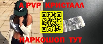 стаф Кингисепп