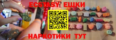 стаф Кингисепп