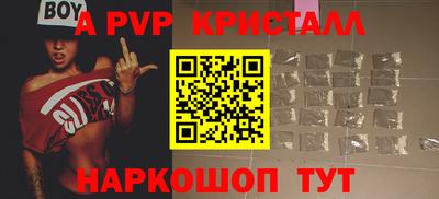 стаф Кингисепп